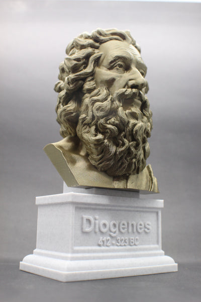 Diogenes the Cynic Greek Philosopher Sculpture Bust on Box Plinth