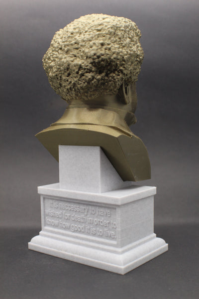 Alexandre Dumas, Famous French Writer, Sculpture Bust on Box Plinth