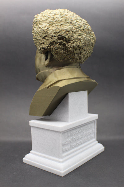 Alexandre Dumas, Famous French Writer, Sculpture Bust on Box Plinth