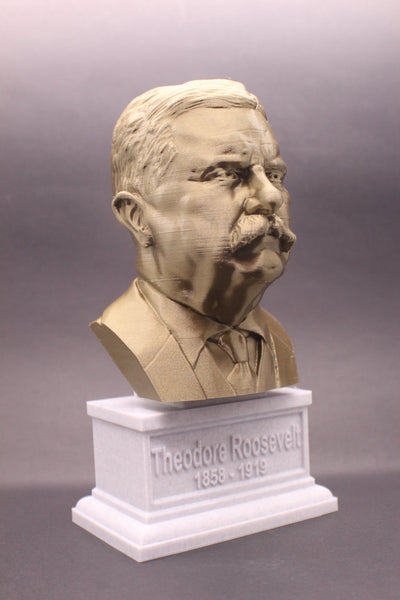 Theodore Roosevelt, 26th US President, Sculpture Bust on Box Plinth