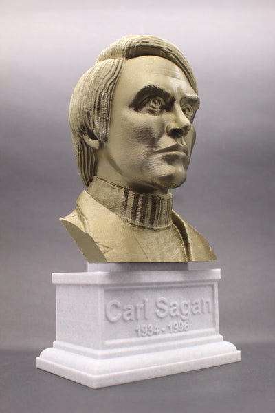 Carl Sagan Famous American Astronomer Sculpture Bust on Box Plinth