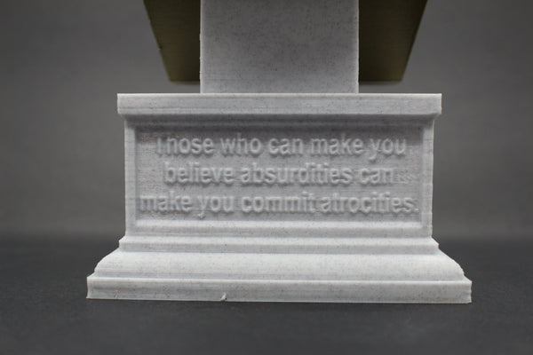 Voltaire French Enlightenment Philosopher Sculpture Bust on Box Plinth
