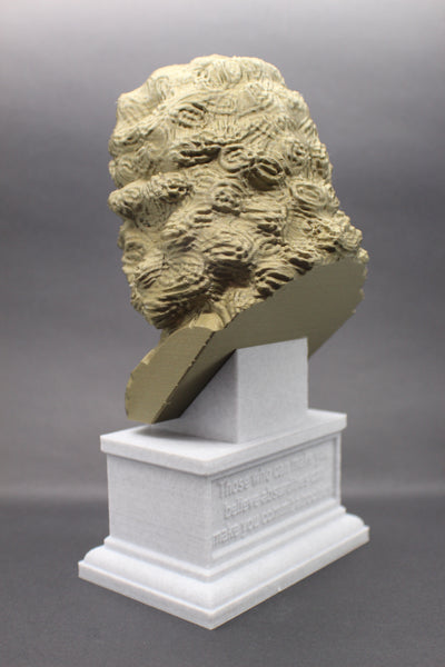 Voltaire French Enlightenment Philosopher Sculpture Bust on Box Plinth