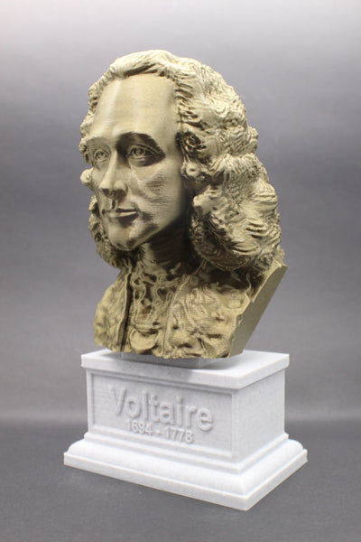 Voltaire French Enlightenment Philosopher Sculpture Bust on Box Plinth