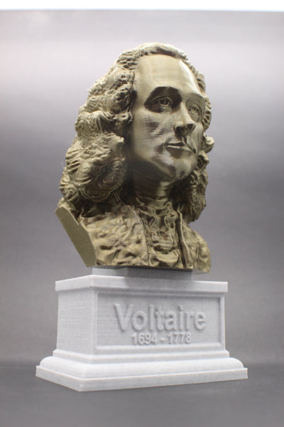 Voltaire French Enlightenment Philosopher Sculpture Bust on Box Plinth