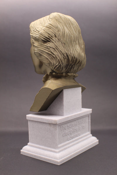 Clara Barton American Nurse Sculpture Bust on Box Plinth
