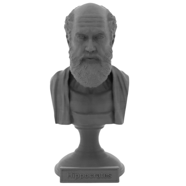 Hippocrates of Kos Greek Physician Sculpture Bust on Pedestal