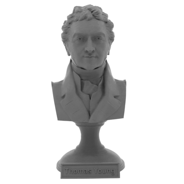 Thomas Young Famous British Physicist, Mathematician, and Mechanical Engineer Sculpture Bust on Pedestal