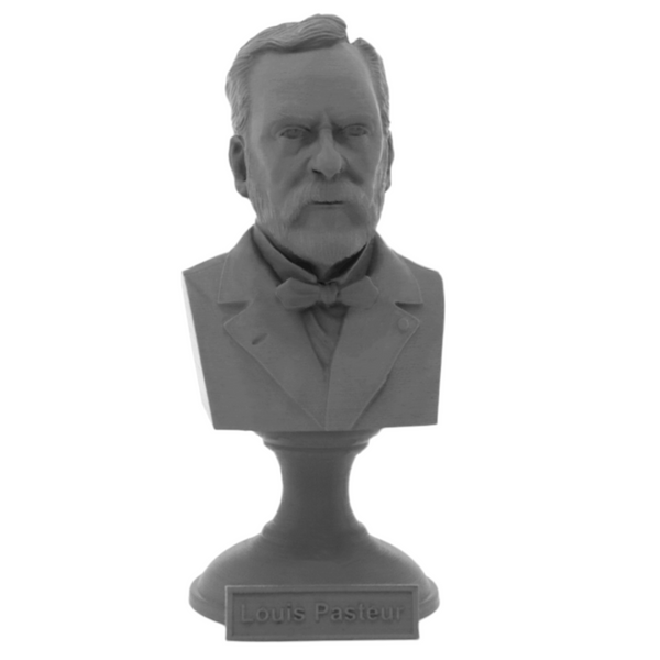 Louis Pasteur French Biologist, Microbiologist, and Chemist Sculpture Bust on Pedestal