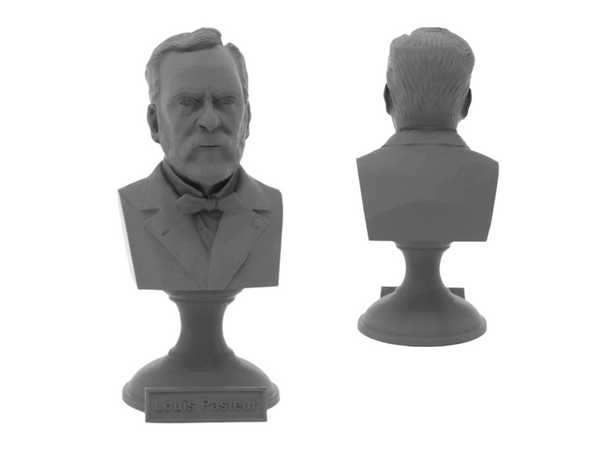 Louis Pasteur French Biologist, Microbiologist, and Chemist Sculpture Bust on Pedestal