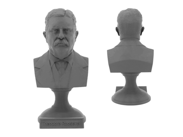 Theodore Roosevelt, 26th US President, Sculpture Bust on Pedestal