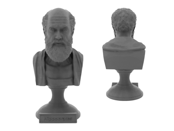 Hippocrates of Kos Greek Physician Sculpture Bust on Pedestal