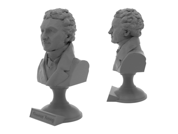 Thomas Young Famous British Physicist, Mathematician, and Mechanical Engineer Sculpture Bust on Pedestal