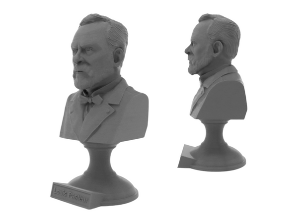 Louis Pasteur French Biologist, Microbiologist, and Chemist Sculpture Bust on Pedestal