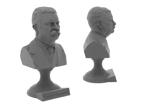 Theodore Roosevelt, 26th US President, Sculpture Bust on Pedestal