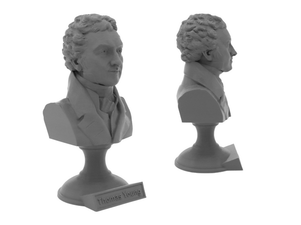Thomas Young Famous British Physicist, Mathematician, and Mechanical Engineer Sculpture Bust on Pedestal