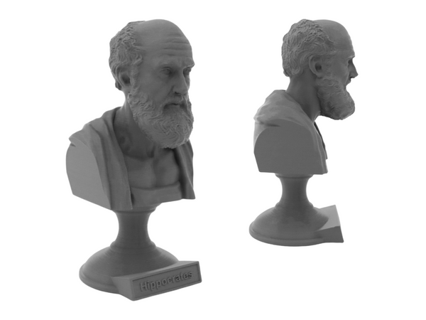 Hippocrates of Kos Greek Physician Sculpture Bust on Pedestal