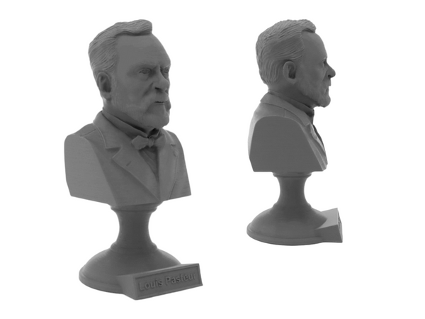 Louis Pasteur French Biologist, Microbiologist, and Chemist Sculpture Bust on Pedestal