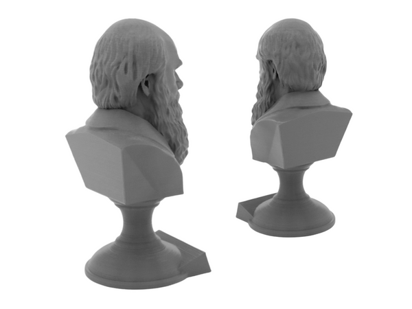 Charles Darwin Famous English Naturalist, Geologist, and Biologist Sculpture Bust on Pedestal
