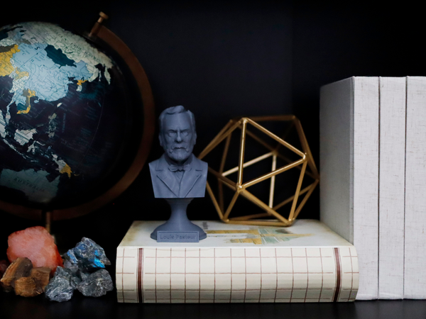 Louis Pasteur French Biologist, Microbiologist, and Chemist Sculpture Bust on Pedestal