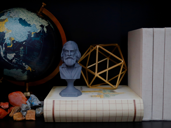 Walt Whitman American Poet Sculpture Bust on Pedestal