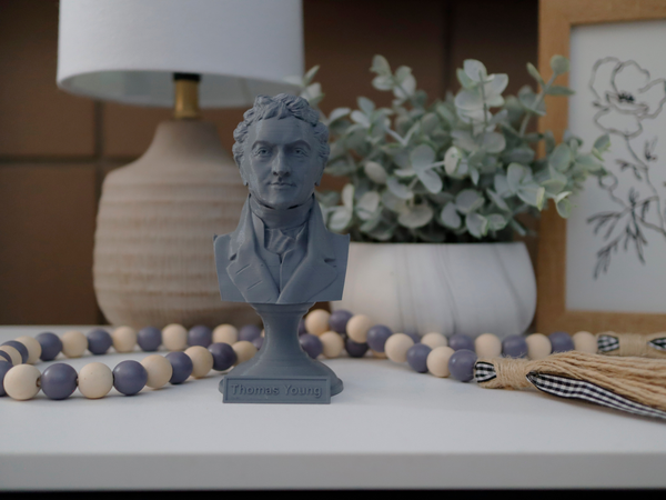 Thomas Young Famous British Physicist, Mathematician, and Mechanical Engineer Sculpture Bust on Pedestal