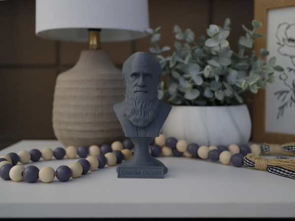 Charles Darwin Famous English Naturalist, Geologist, and Biologist Sculpture Bust on Pedestal