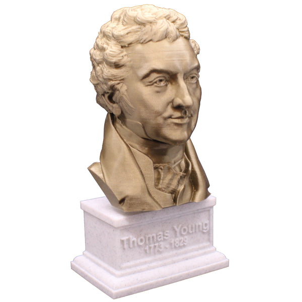 Thomas Young Famous British Physicist, Mathematician, and Mechanical Engineer Sculpture Bust on Box Plinth