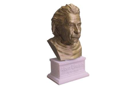 Science and Math Busts