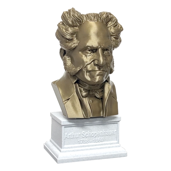 Arthur Schopenhauer German Philosopher Sculpture Bust on Box Plinth