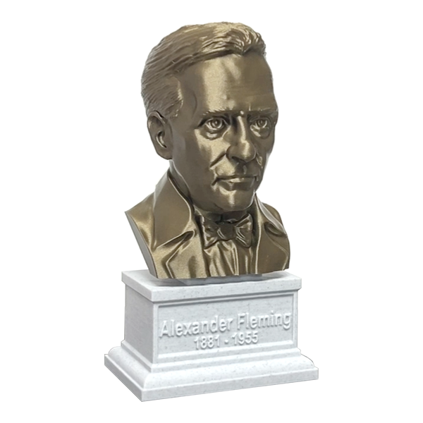 Alexander Fleming Famous Scottish Biologist, Physician, and Pharmacologist Sculpture Bust on Box Plinth