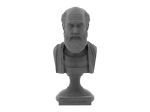 Hippocrates, 5-inch Bust on Pedestal, Gray