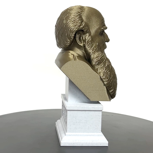 Leo Tolstoy, Famous Russian Writer, Sculpture Bust on Box Plinth