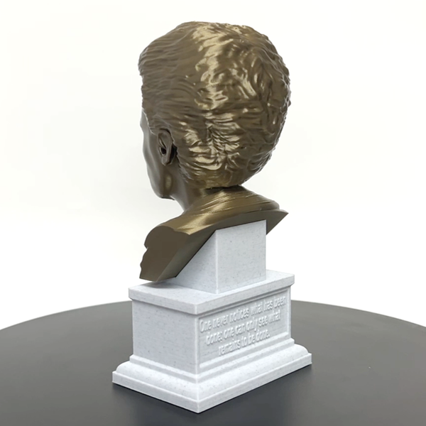 Marie Curie Polish Chemist, Nobel Prize Winner, and Researcher of Radioactivity Sculpture Bust on Box Plinth