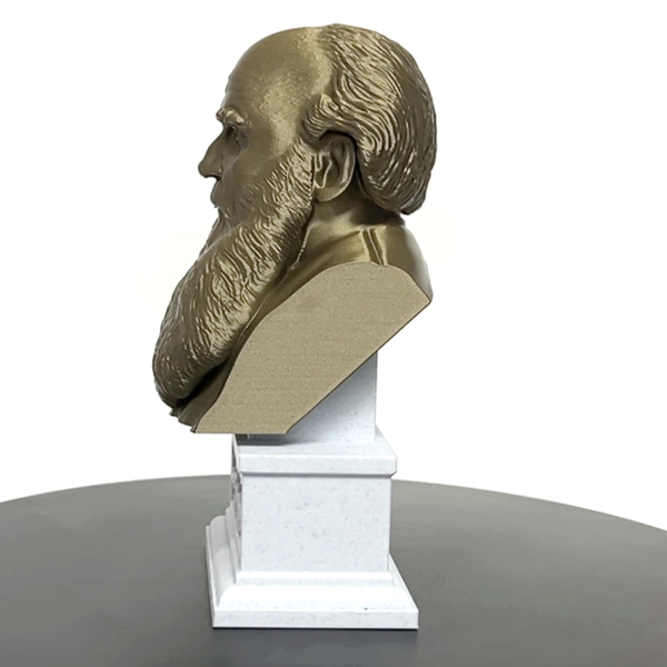 Leo Tolstoy, Famous Russian Writer, Sculpture Bust on Box Plinth