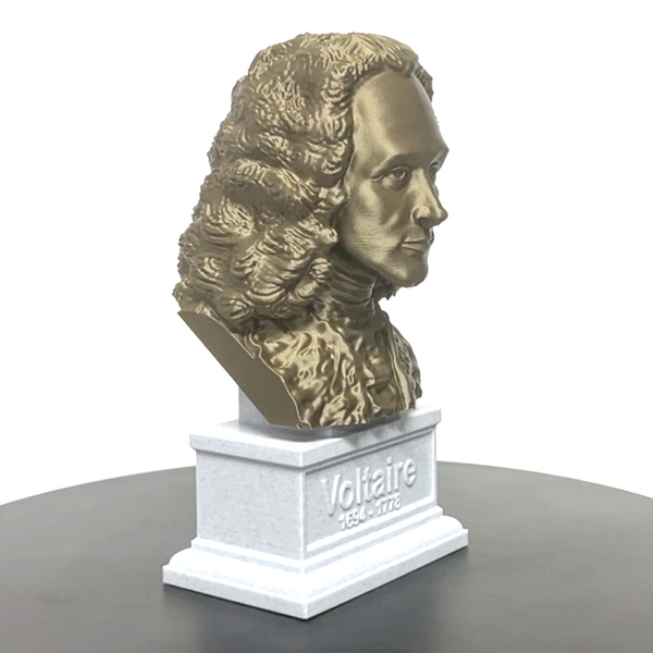 Voltaire French Enlightenment Philosopher Sculpture Bust on Box Plinth