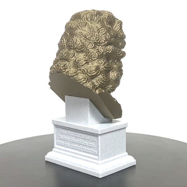 Voltaire French Enlightenment Philosopher Sculpture Bust on Box Plinth