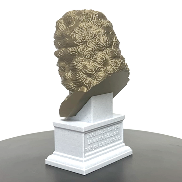 Voltaire French Enlightenment Philosopher Sculpture Bust on Box Plinth