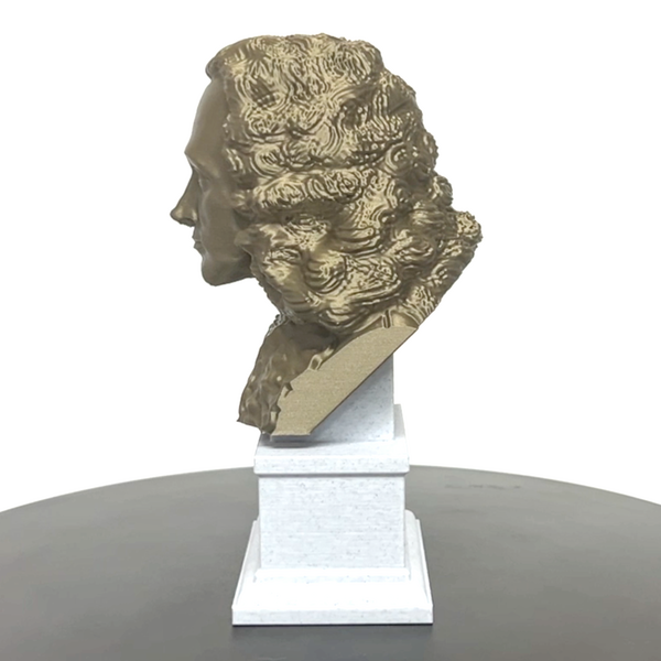 Voltaire French Enlightenment Philosopher Sculpture Bust on Box Plinth