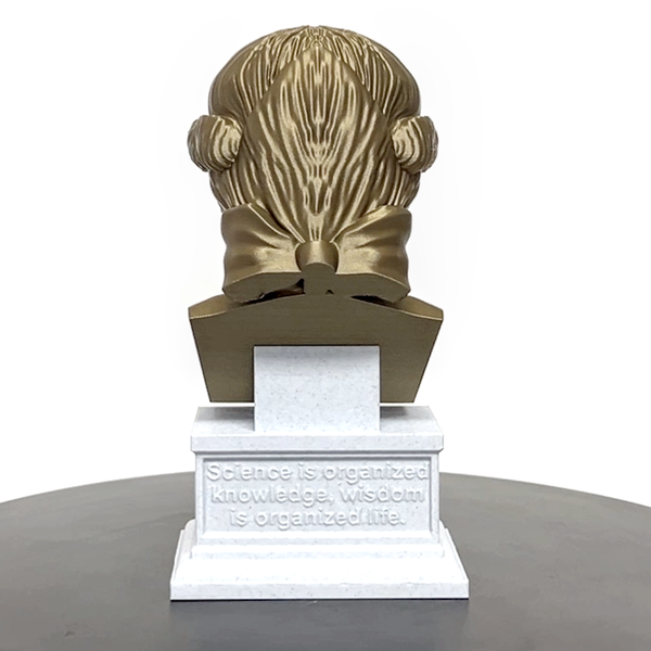 Immanuel Kant Enlightenment Philosopher Sculpture Bust on Box Plinth