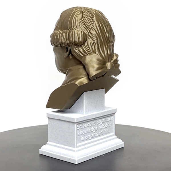 Immanuel Kant Enlightenment Philosopher Sculpture Bust on Box Plinth