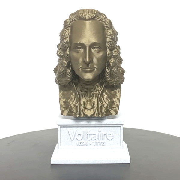 Voltaire French Enlightenment Philosopher Sculpture Bust on Box Plinth