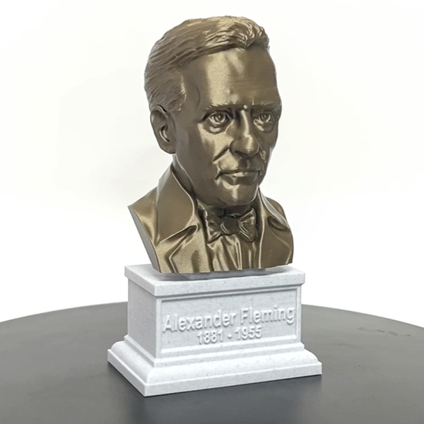 Alexander Fleming Famous Scottish Biologist, Physician, and Pharmacologist Sculpture Bust on Box Plinth