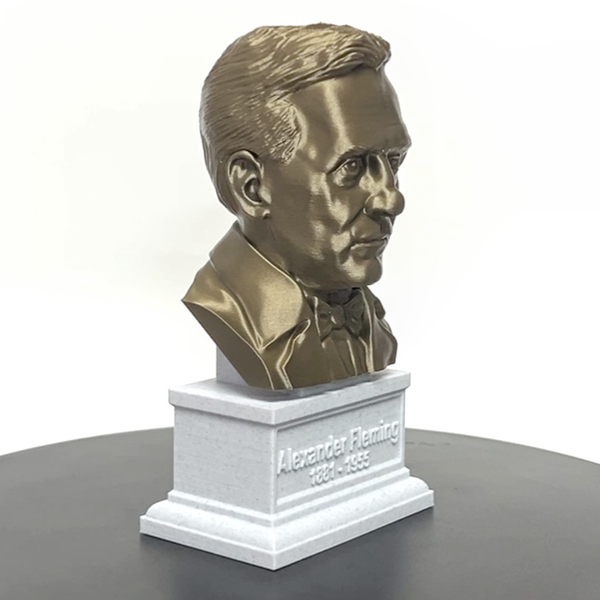 Alexander Fleming Famous Scottish Biologist, Physician, and Pharmacologist Sculpture Bust on Box Plinth