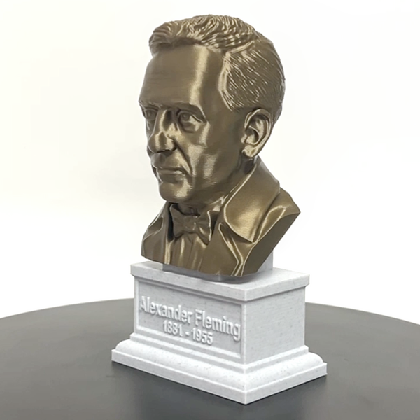 Alexander Fleming Famous Scottish Biologist, Physician, and Pharmacologist Sculpture Bust on Box Plinth