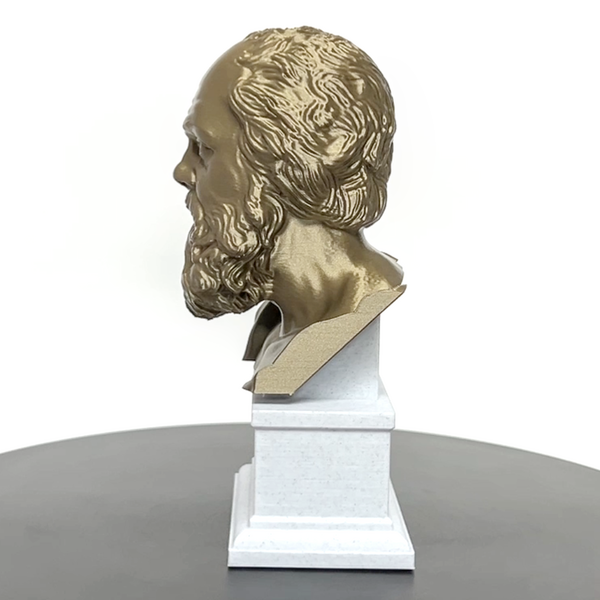 Socrates Greek Philosopher Sculpture Bust on Box Plinth