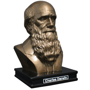 Charles Darwin, Famous English Naturalist, Geologist, and Biologist, Premium Sculpture Bust