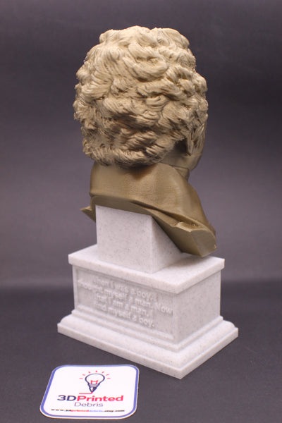 Thomas Young Famous British Physicist, Mathematician, and Mechanical Engineer Sculpture Bust on Box Plinth