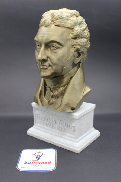 Thomas Young Famous British Physicist, Mathematician, and Mechanical Engineer Sculpture Bust on Box Plinth