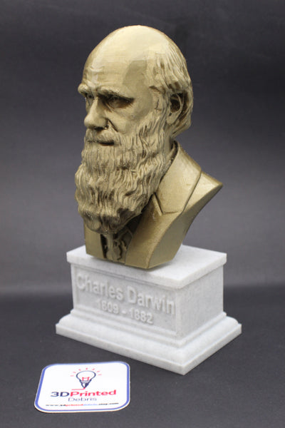 Charles Darwin Famous English Naturalist, Geologist, and Biologist Sculpture Bust on Box Plinth